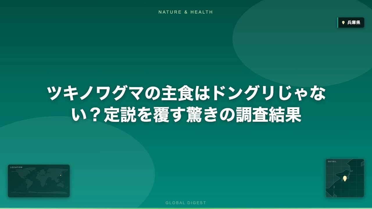 自然・環境ニュース: ツキノワグマの主食はドングリじゃない？定説を覆す驚きの調査結果