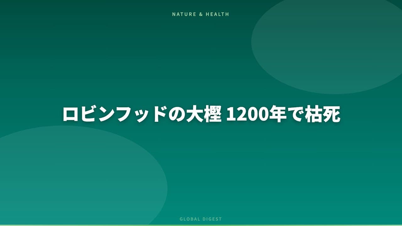 自然・環境ニュース: ロビンフッドの大樫 1200年で枯死
